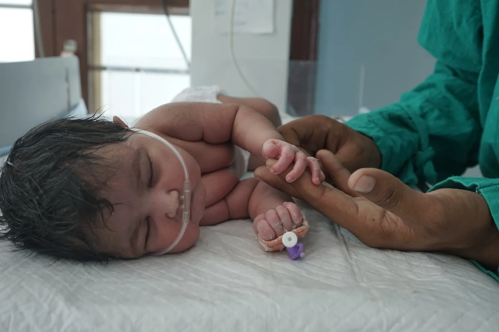 A Tiny Life Hanging Between Hope and Survival