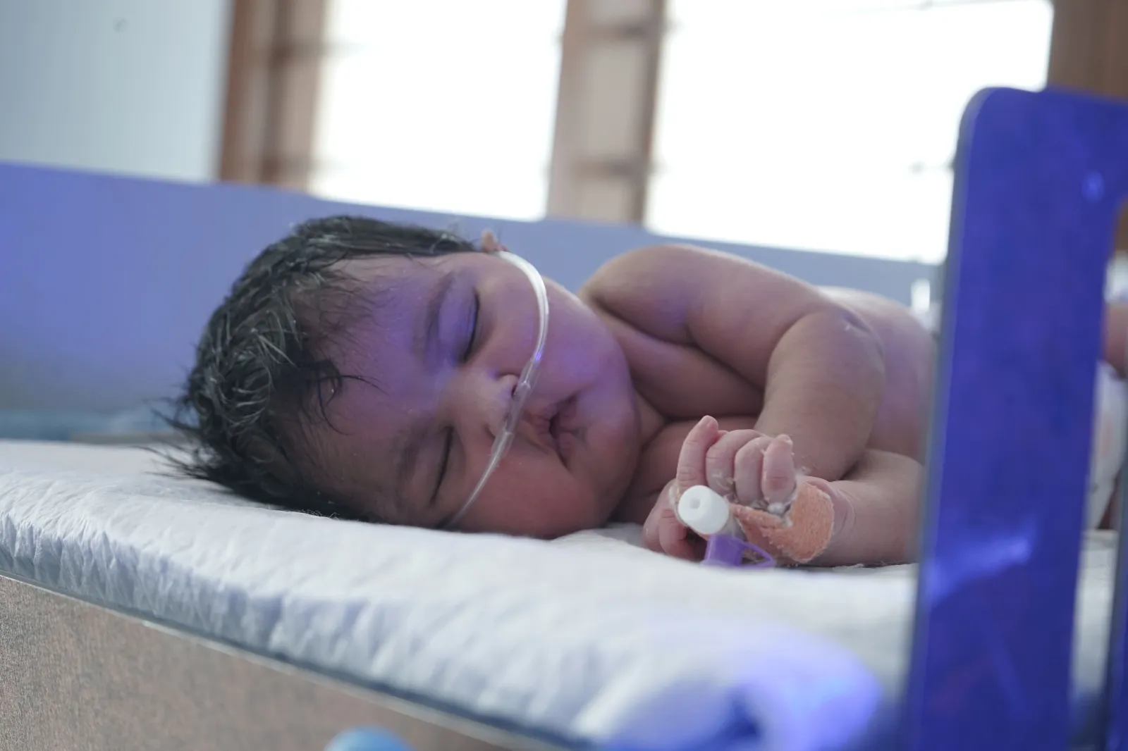 A Tiny Life Hanging Between Hope and Survival