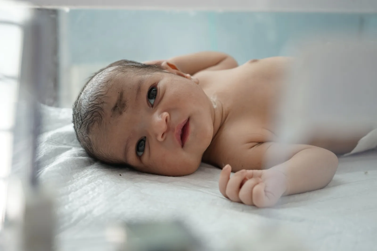 He Was Born Yesterday, Today He’s Fighting to Stay Alive