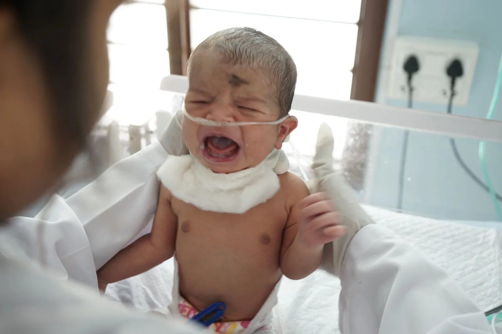 He Was Born Yesterday, Today He’s Fighting to Stay Alive