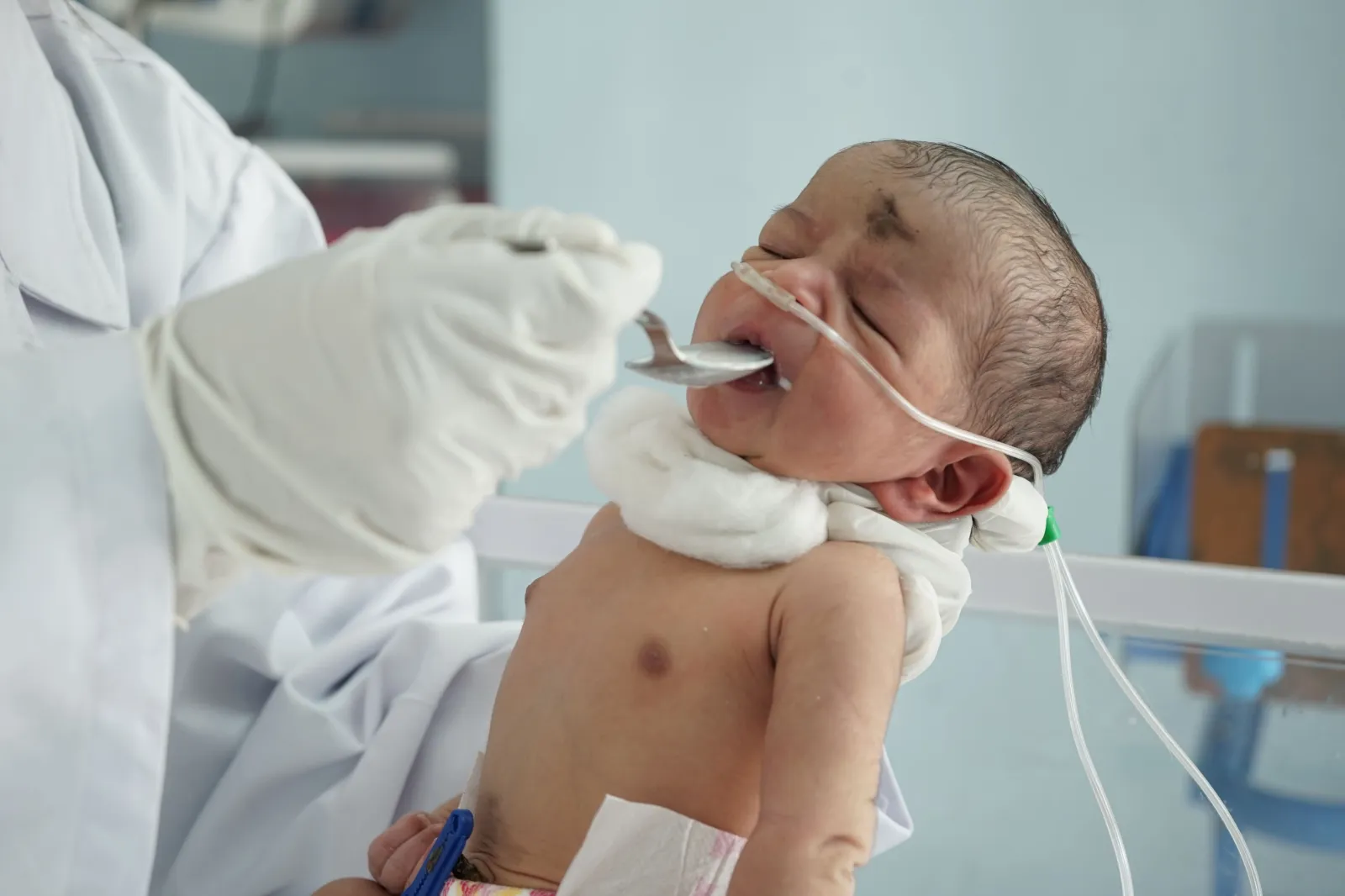 He Was Born Yesterday, Today He’s Fighting to Stay Alive